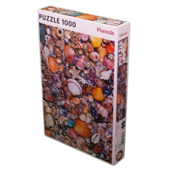 Muscheln - Imagen 2