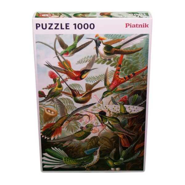Kolibris – Haeckel