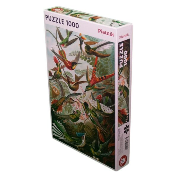 Kolibris – Haeckel - Imagen 2