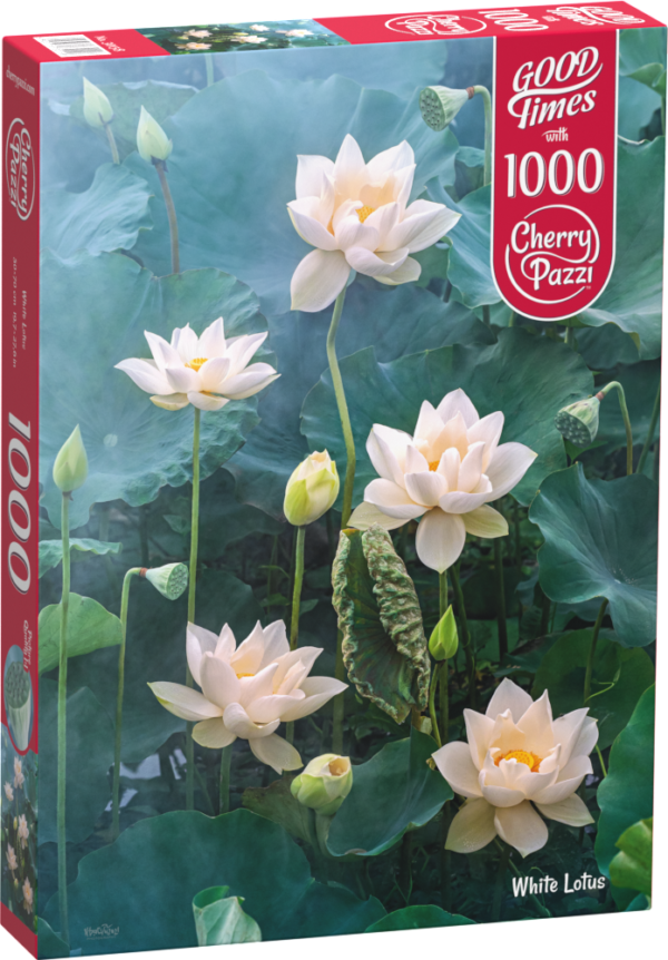 White Lotus - Imagen 2